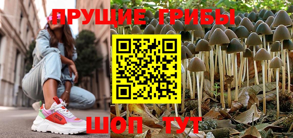 Галлюциногенные грибы Cubensis Вичуга