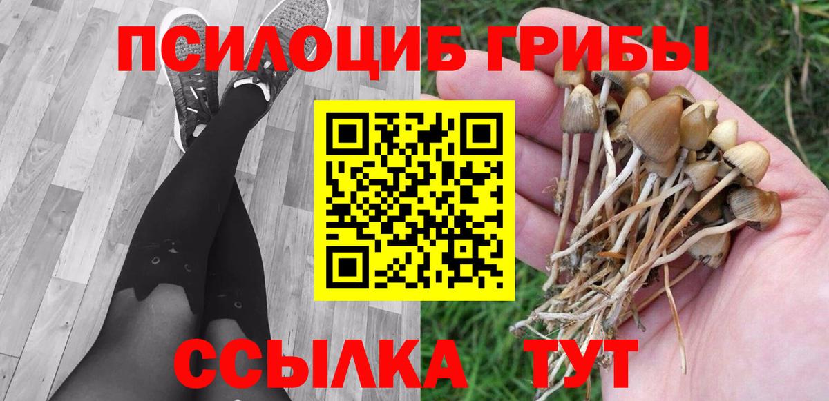 Вичуга  Псилоцибиновые грибы Magic Shrooms  Вход с VPN 